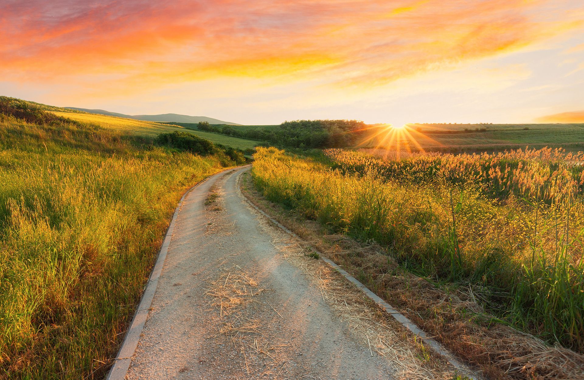 Dirt road winding through a field of tall grass toward a vibrant sunset.