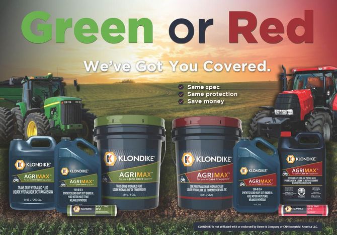 Two fluffy yellow chicks standing on brown dirt.