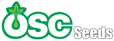 Kong logo - red text spelling out