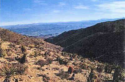 FOR SALE: 960 acres of GOLD CLAIMS in Clark County, Nevada, approximately 40 miles South of Las Vegas in the world famous Eldorado mining district.