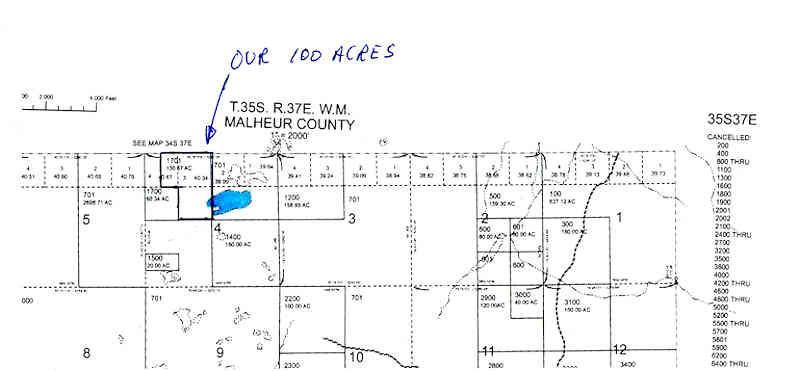 Lot and Lake Location