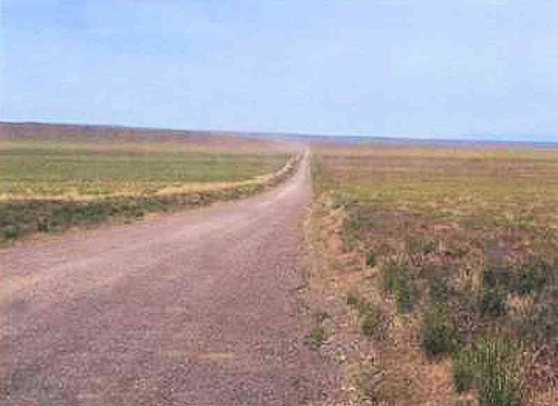View of Whitehorse Ranch Road at Turnoff from Hwy 95, East of Property