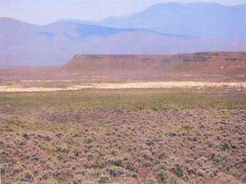 View of Dry Lake Area on Property - Looking Southeast
