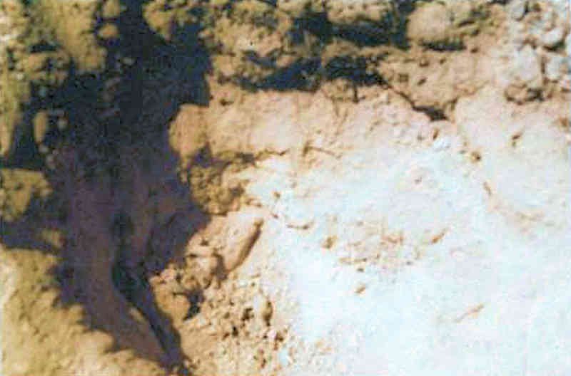 Shallow Hole Dug for Screening Analysis