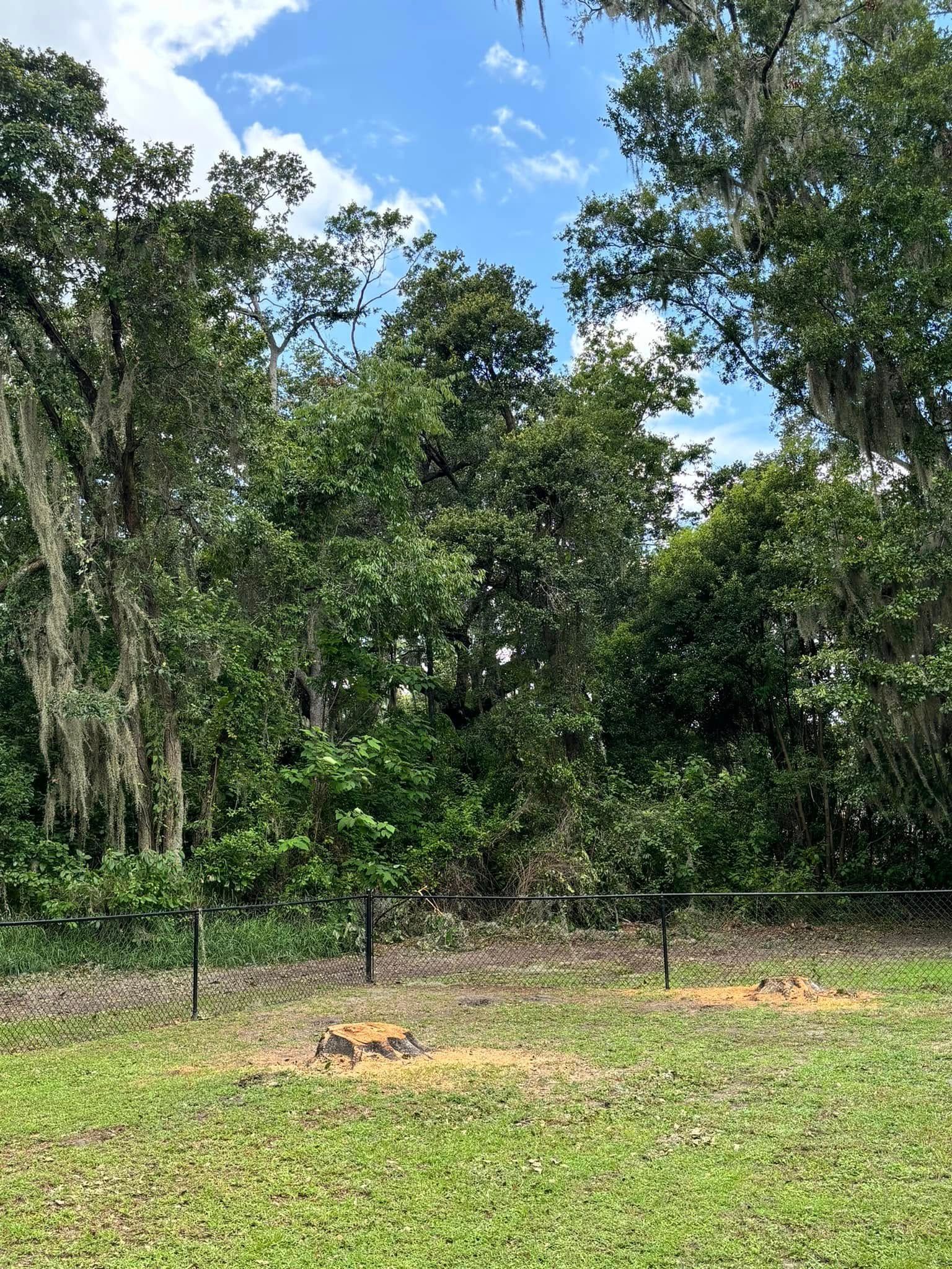 Lush green trees behind a grassy area with small fence posts, under a blue sky with clouds.