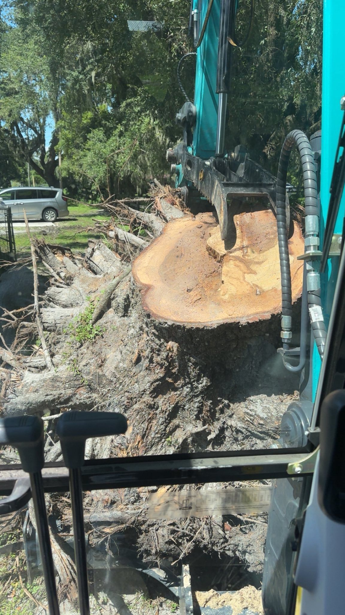 Excavator cutting a large tree trunk in a ditch near a road; sunny day.