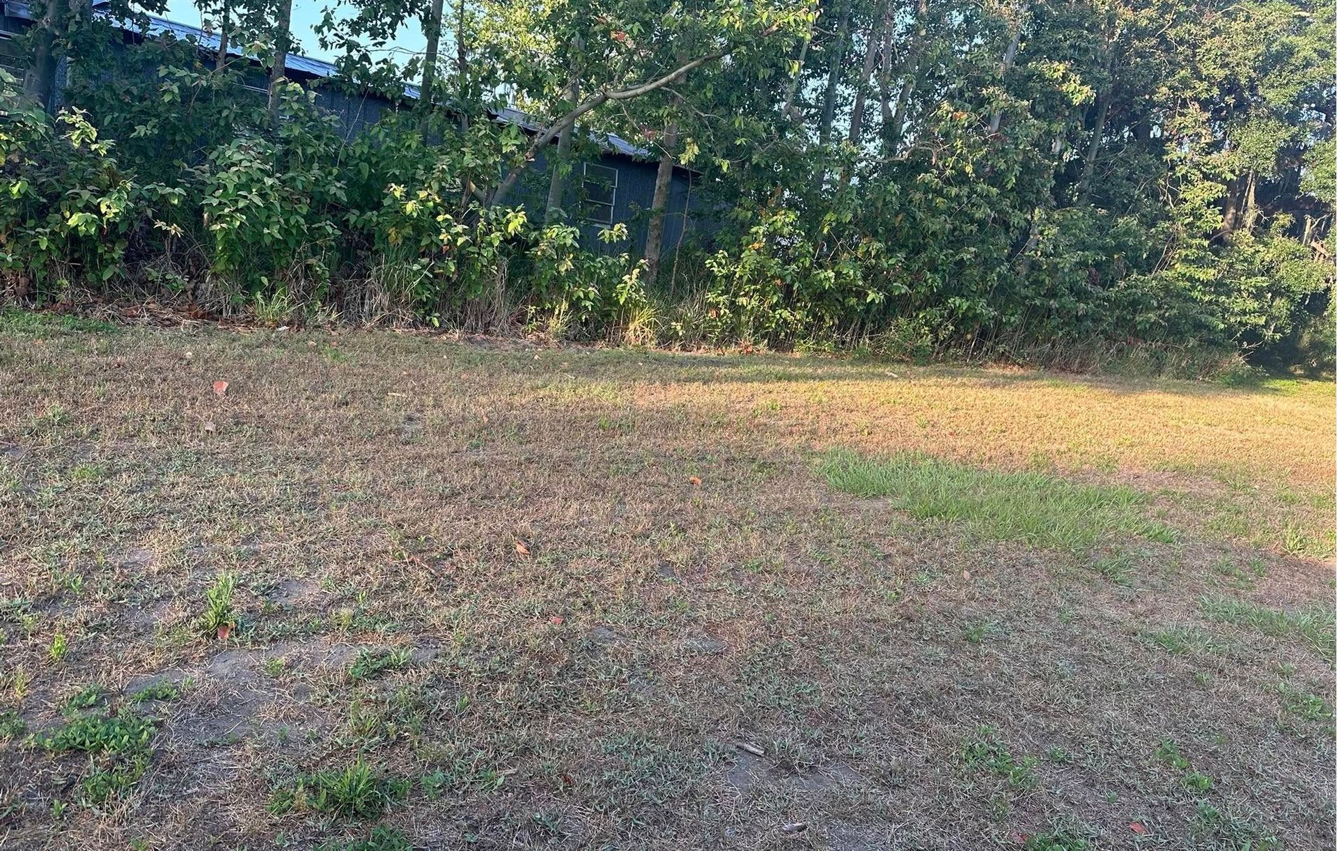 A construction worker wearing a blue hard hat is working on a roof