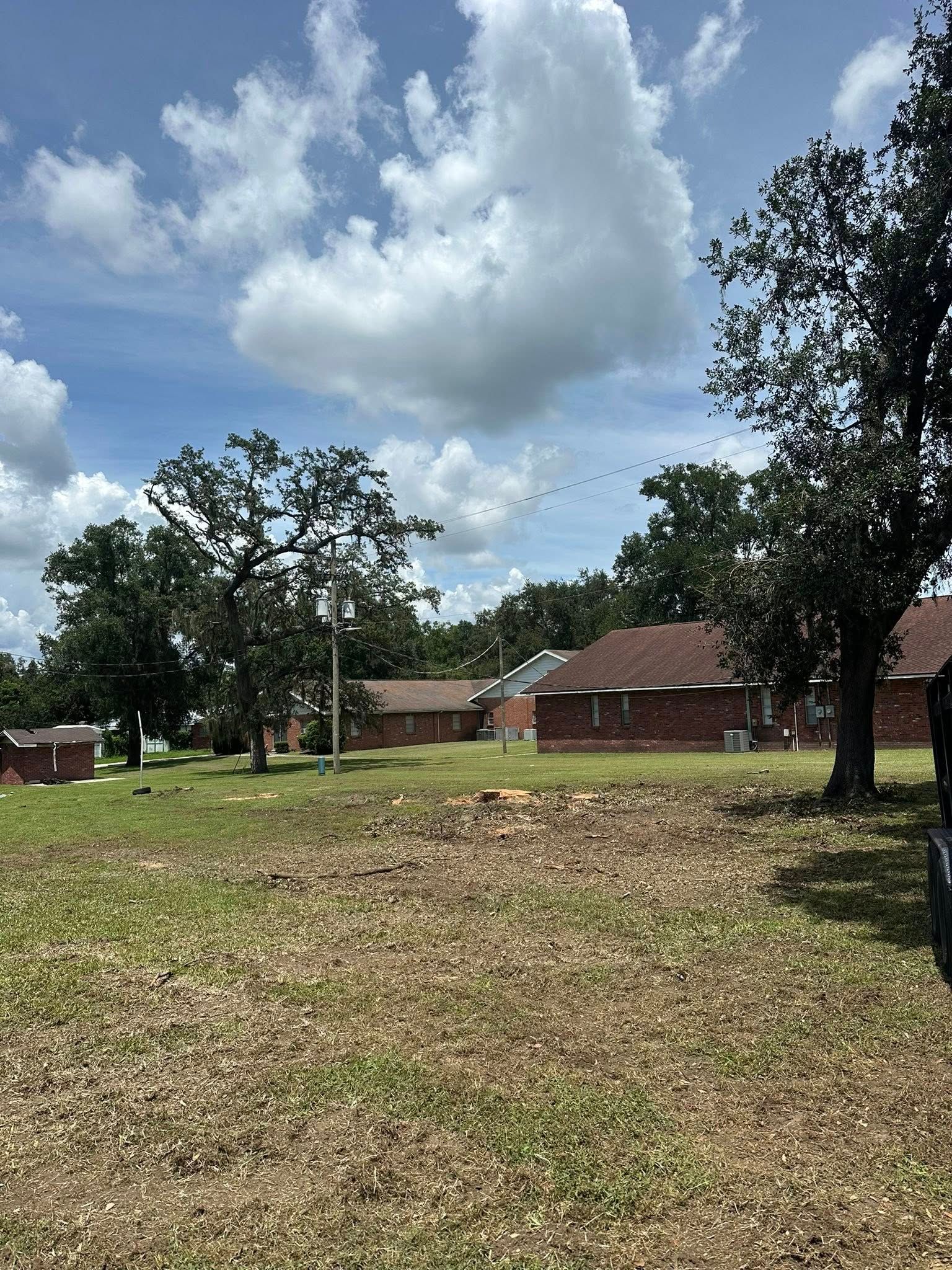 Grassy field with trees and brick buildings under a cloudy, blue sky.