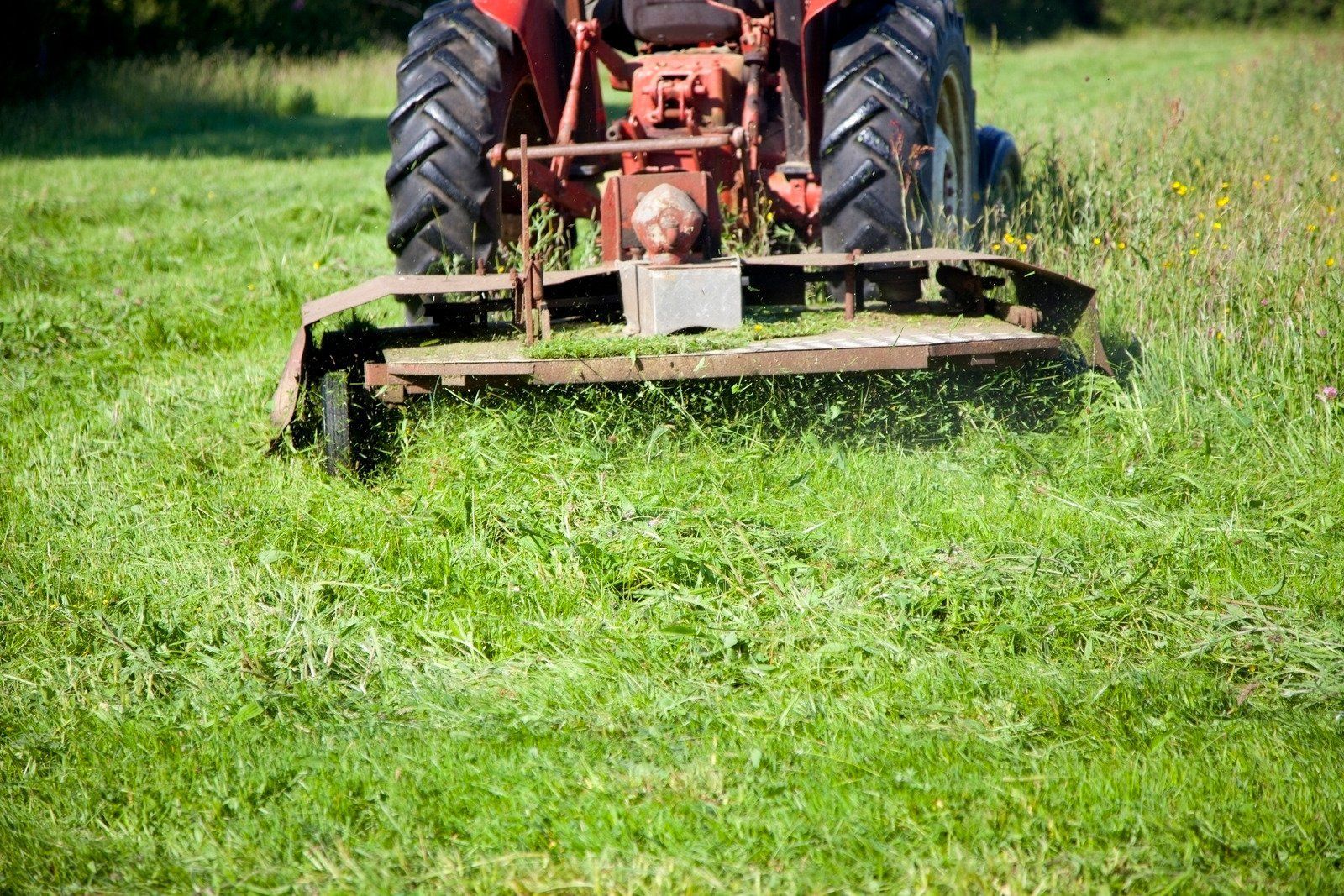 Red tractor mowing a green field.