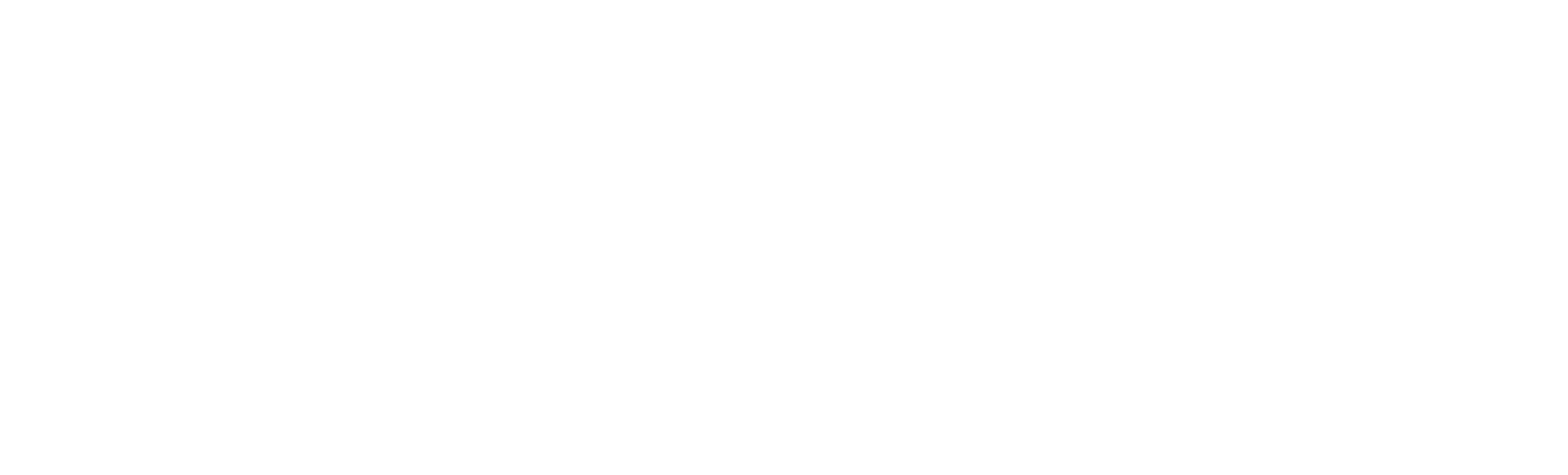 StorMore Logo - Footer - linked to home page