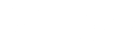 Visio Management Logo