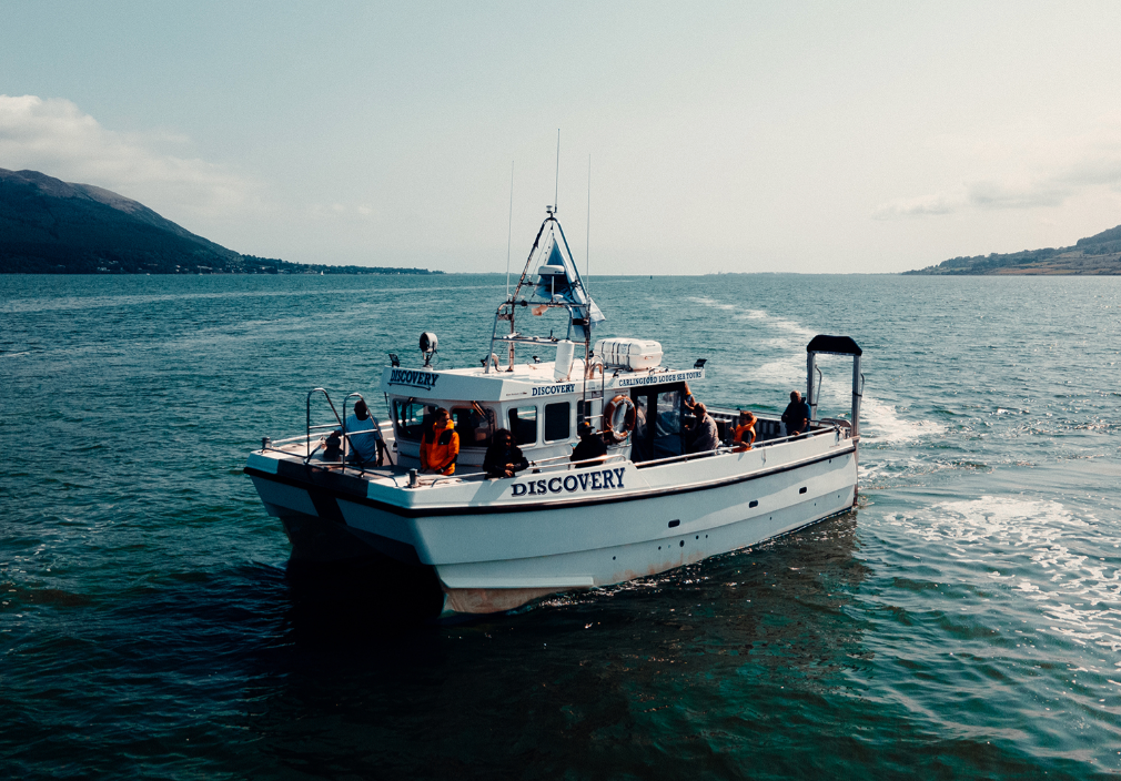 Carlingford Sea Tours