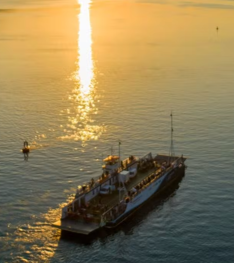 Ships in Carlingford