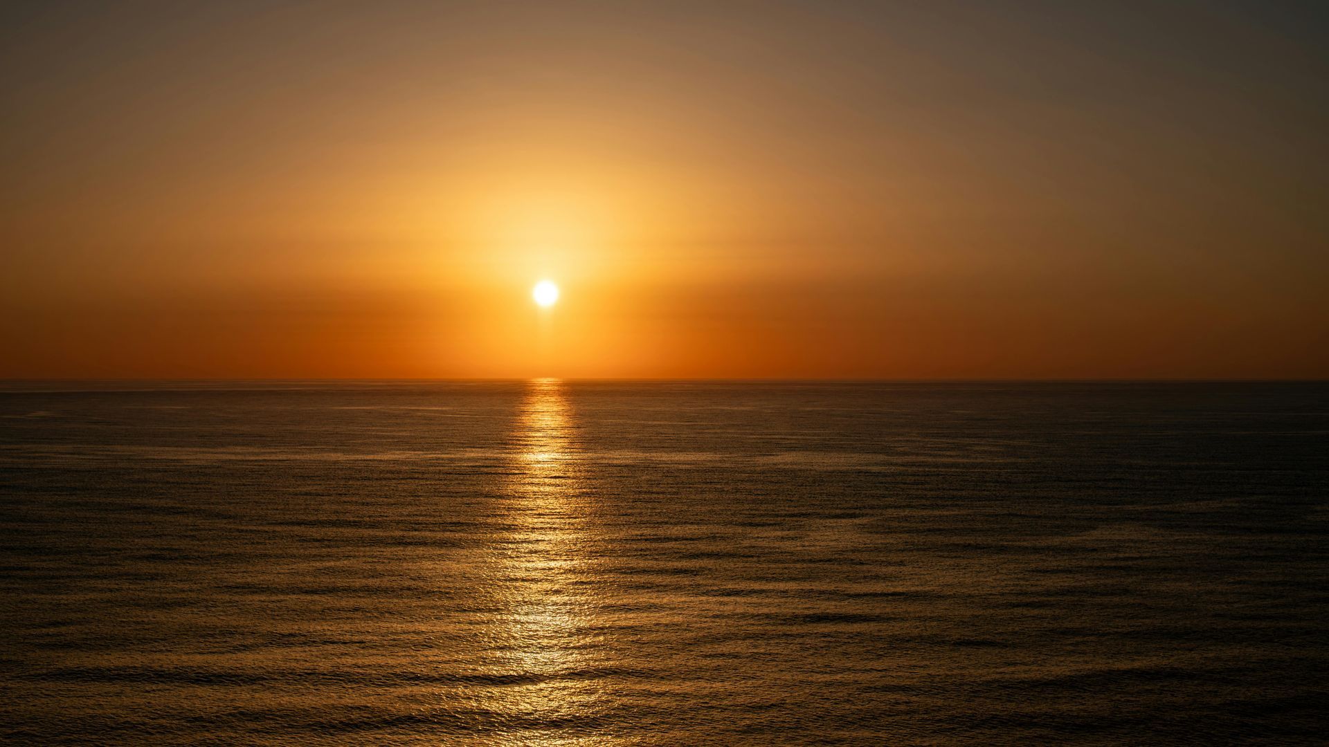 Events in August | Carlingford