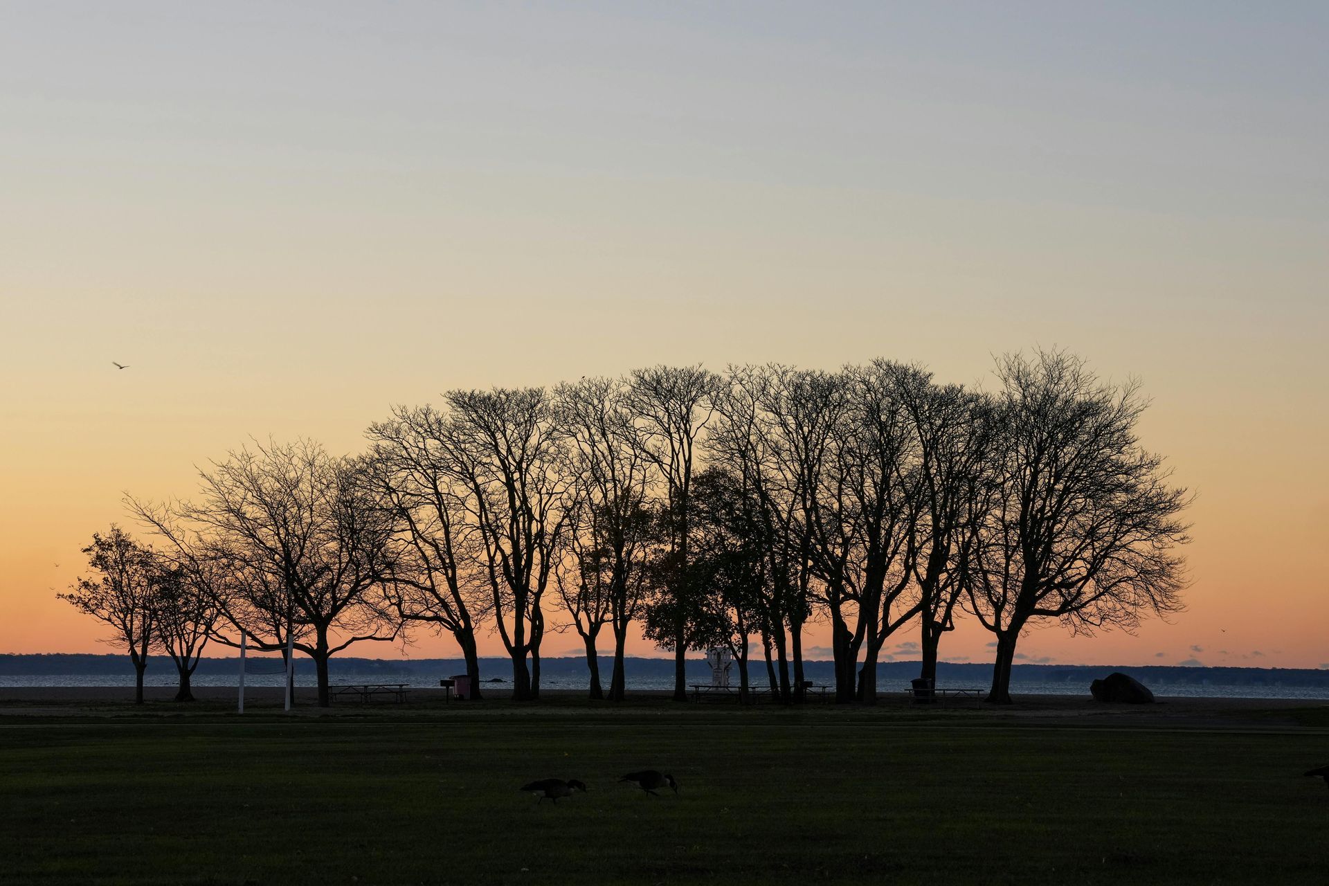 Events In November | Carlingford