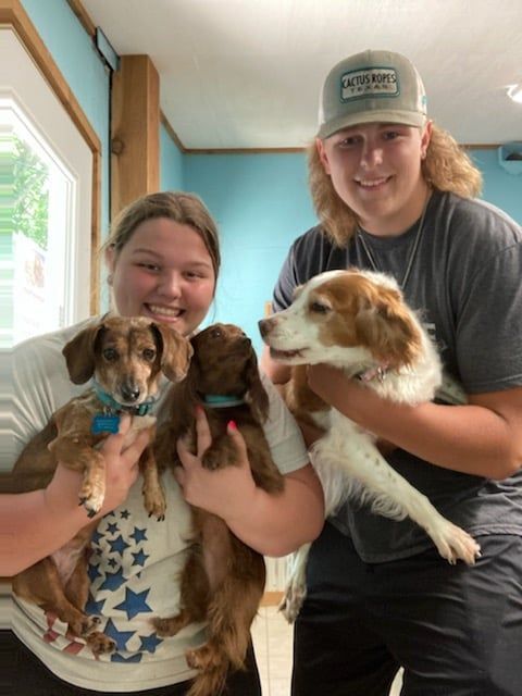A man and a woman are holding two dogs in their arms.