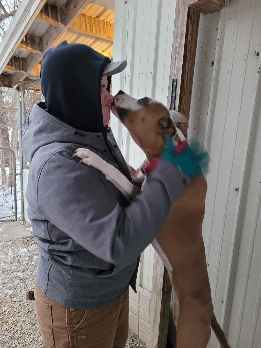 A woman in a hoodie is kissing a dog on the nose.
