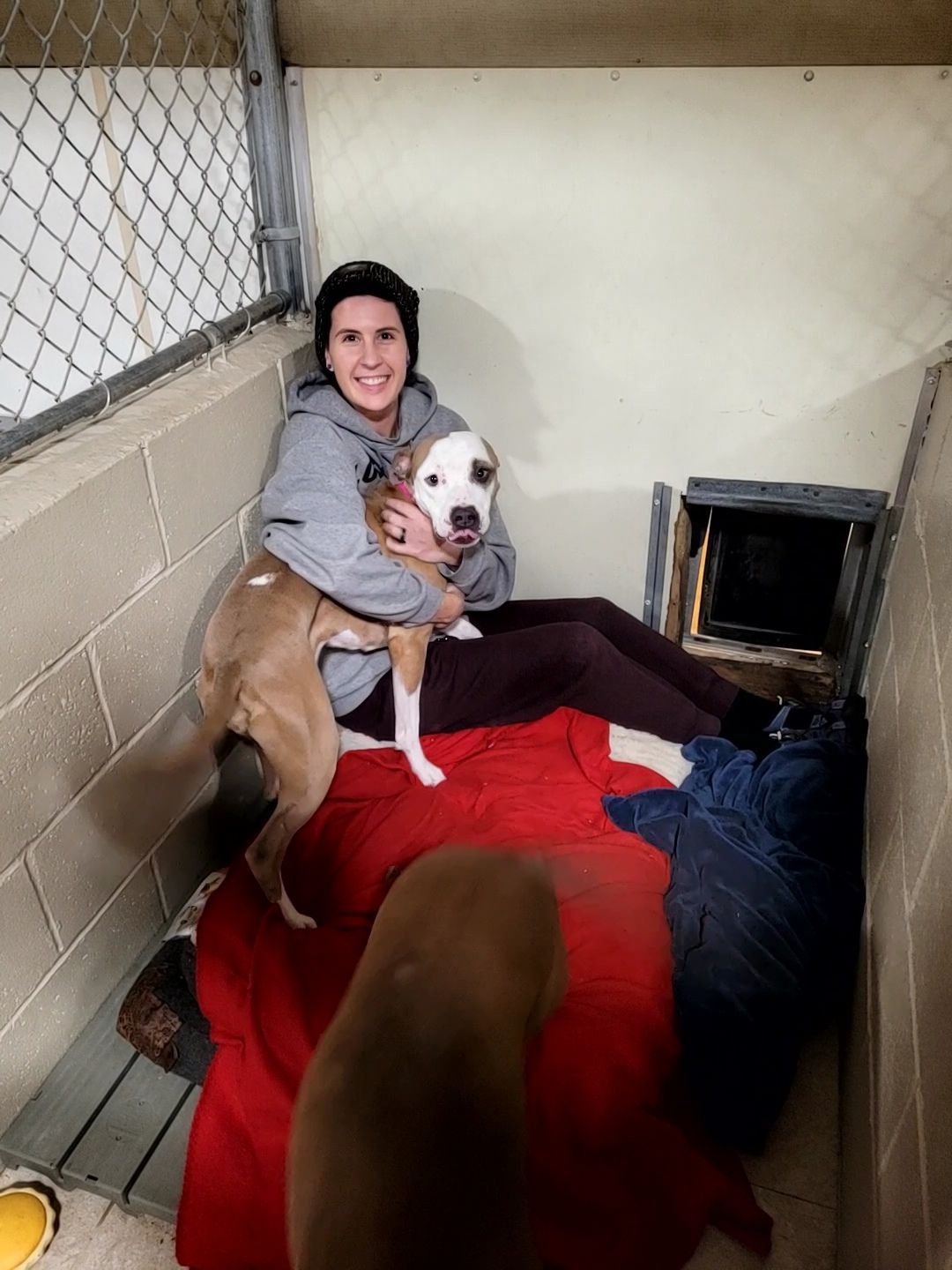 A woman is holding two dogs in a kennel.