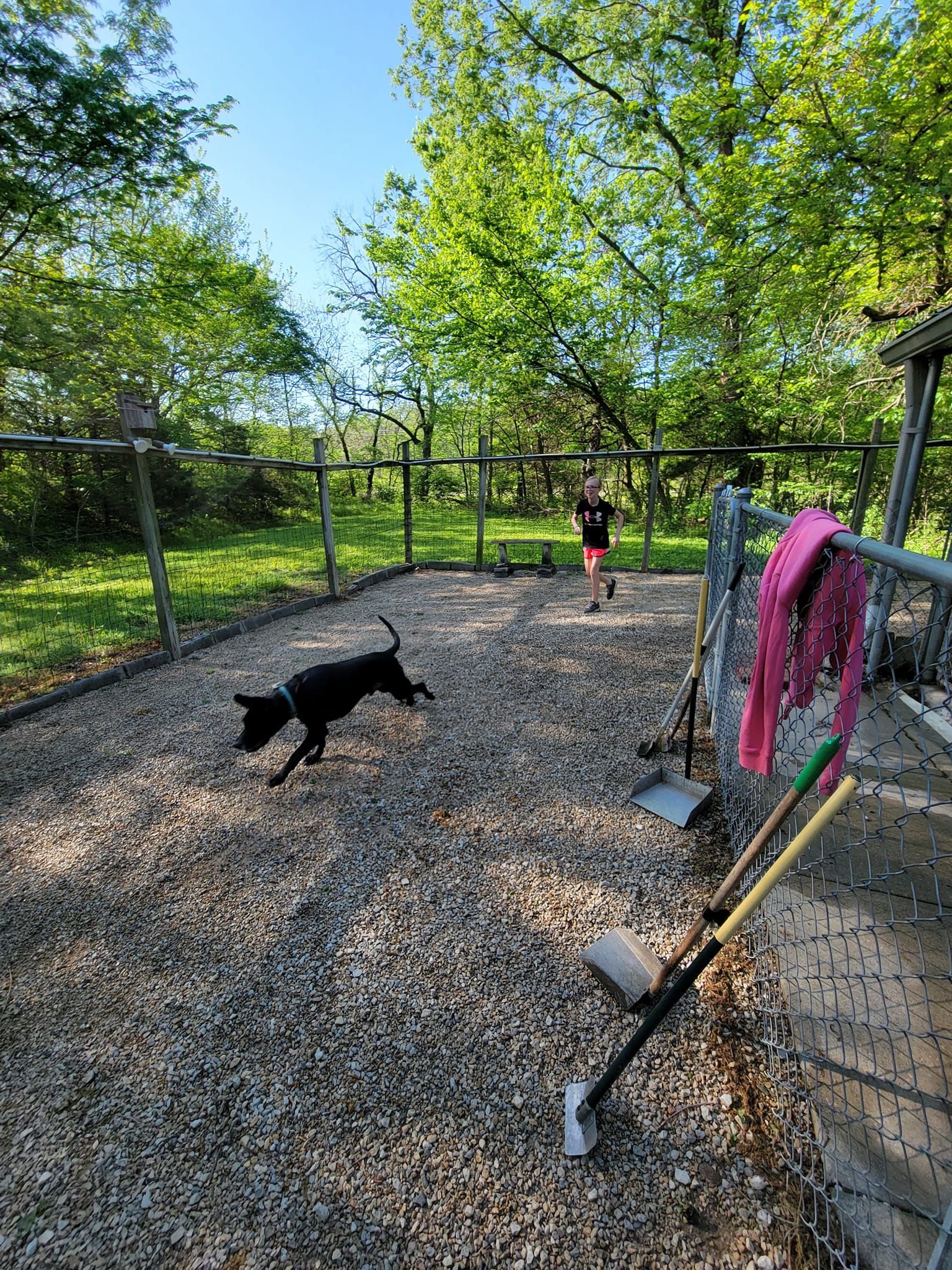 A dog is playing in a park with a person and a shovel.