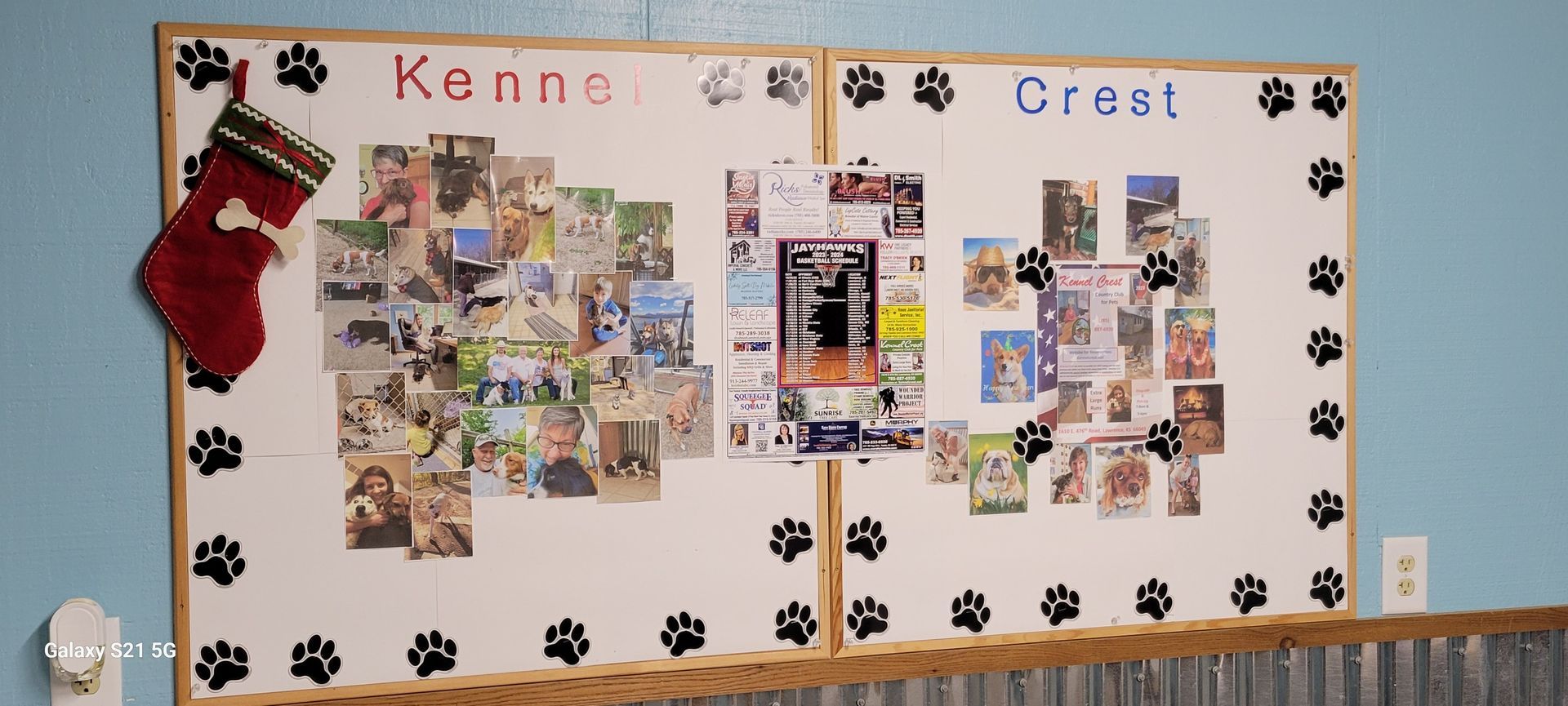 A bulletin board with a collage of pictures of dogs and paw prints