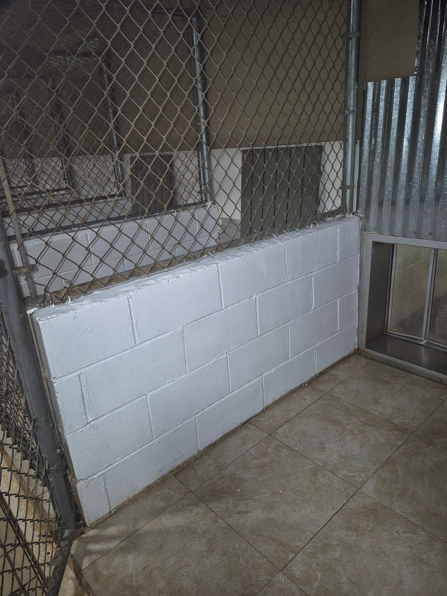 A dog kennel with a chain link fence and a white brick wall.