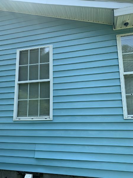 Clean House Blue Siding — Johns Island, SC — SoftWash Doctors