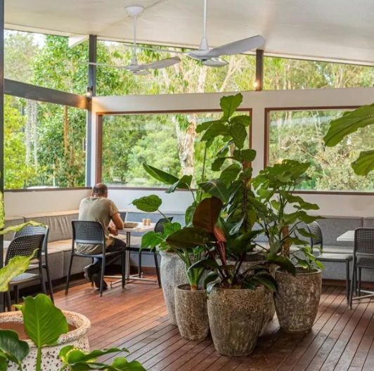 A Man Is Sitting At A Table In A Restaurant Surrounded By Potted Plants — Professional Painters in Suffolk Park, NSW