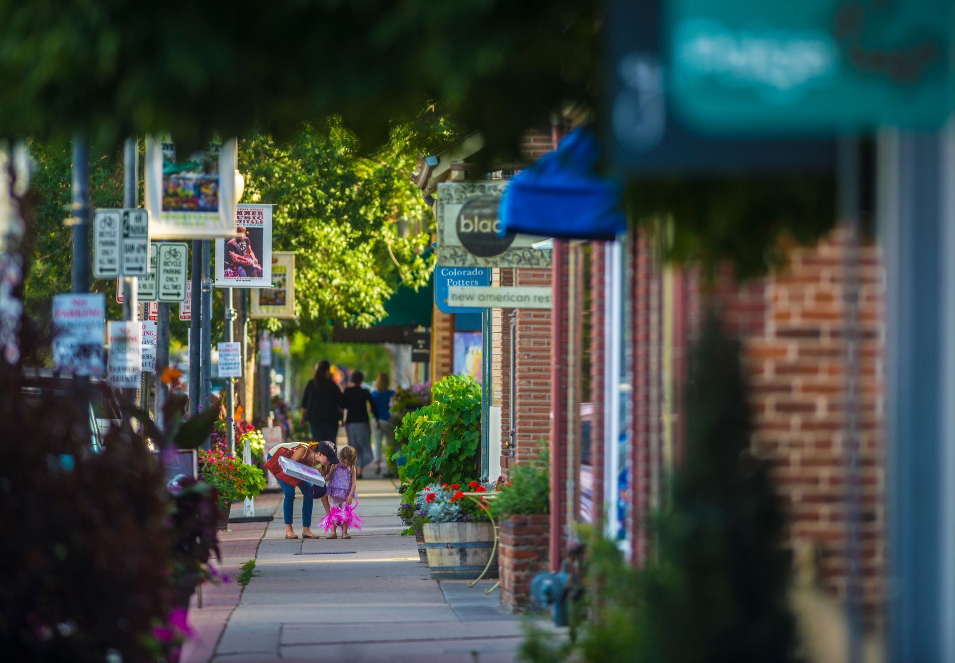 Denver Metro in Summer