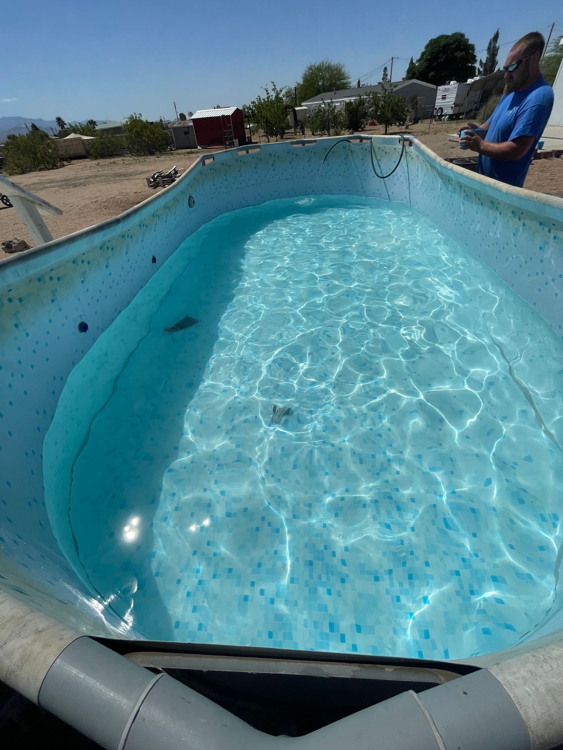 above ground pool cleaning