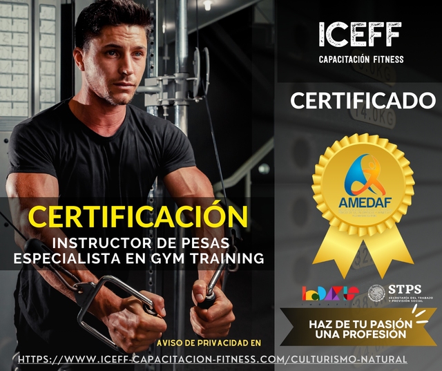 INSTRUCTOR DE GYM - ONLINE