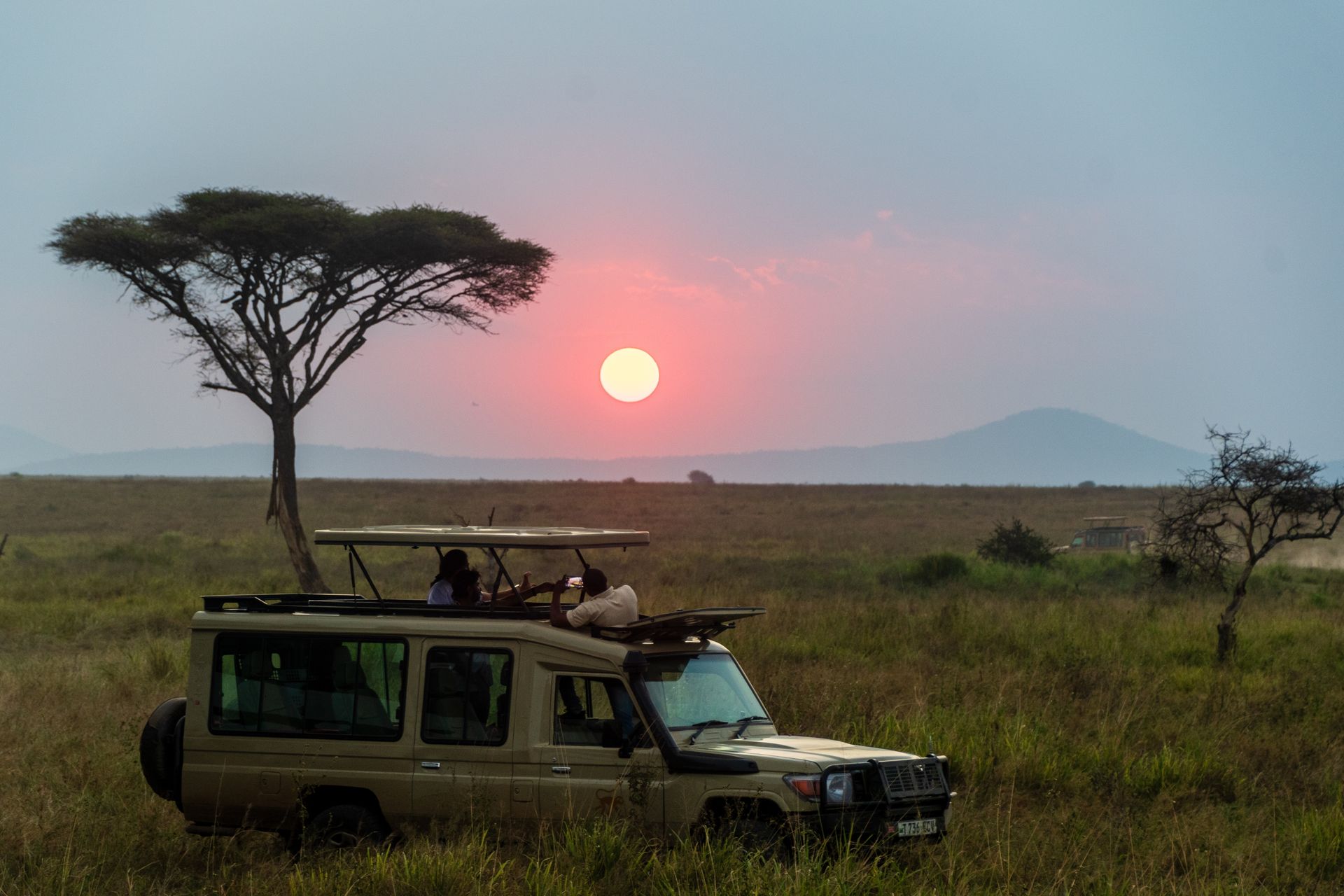 A safari vehicle parked in a grassy landscape at sunset with a silhouette of an acacia tree in the background.