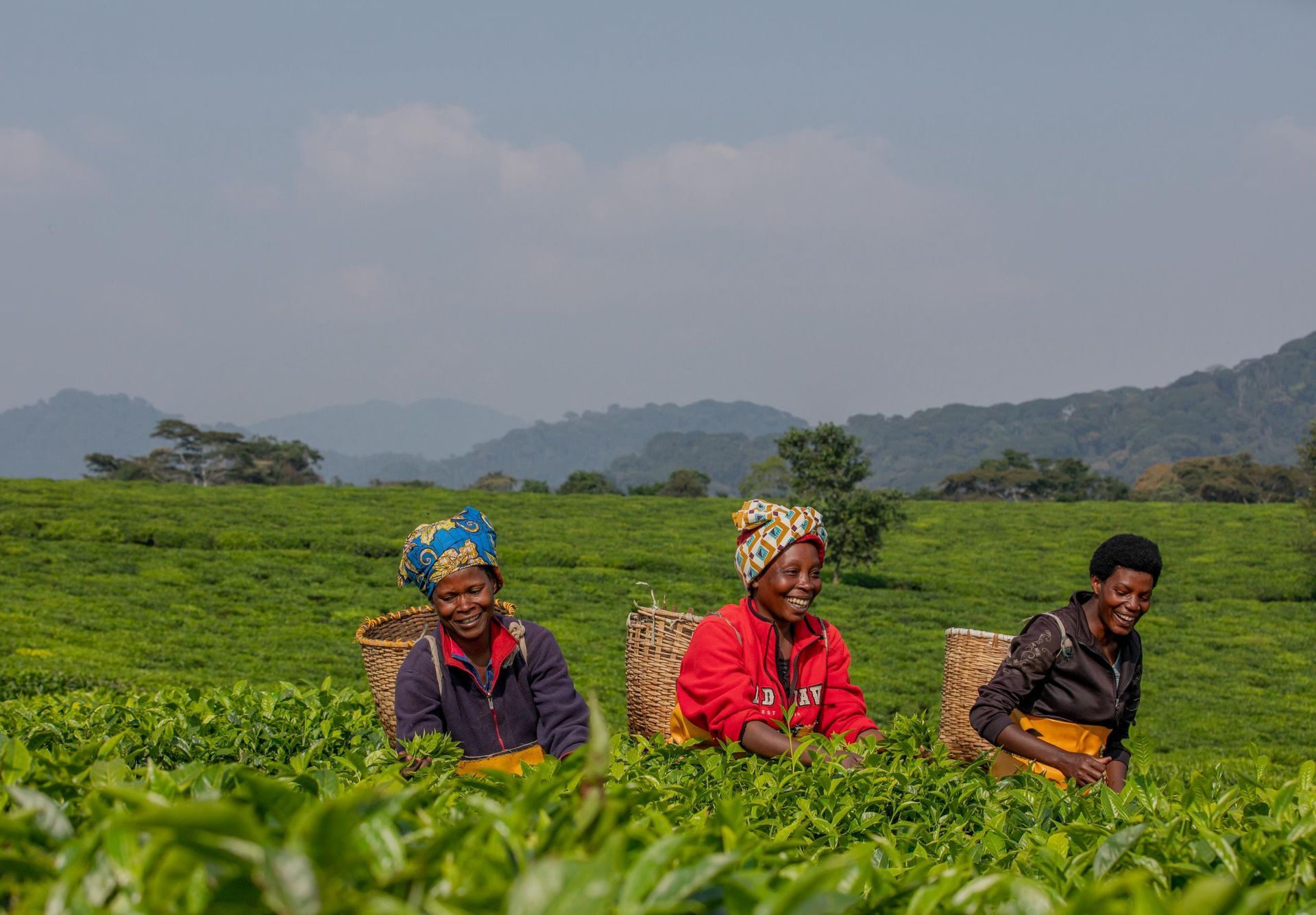 A person in a tan jacket shakes hands with a local resident wearing traditional patterned clothing in a rural setting.