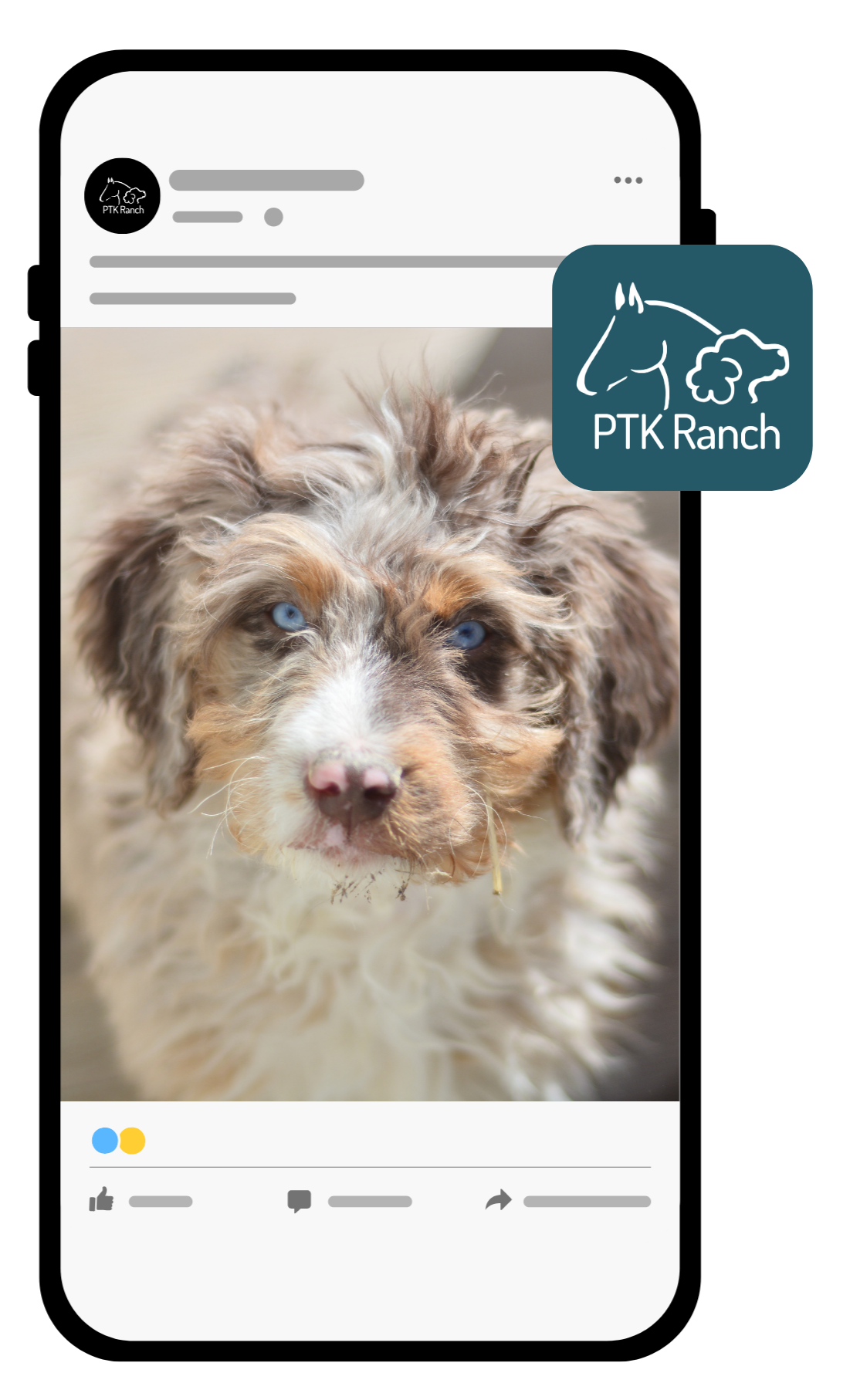 Social Media with a picture of a PTK puppy dog