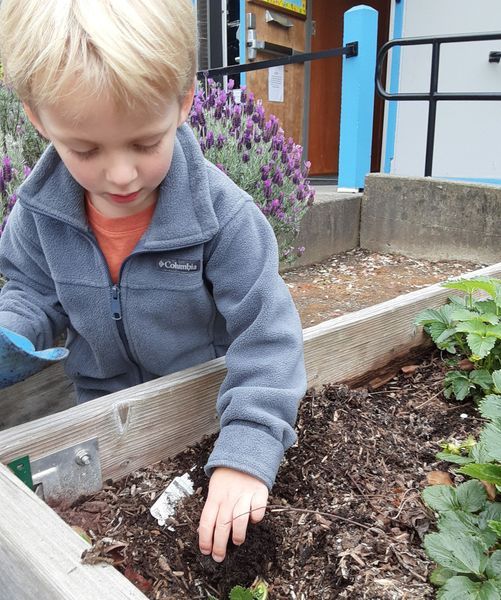 Child planting in a raised garden bed; wearing blue fleece.