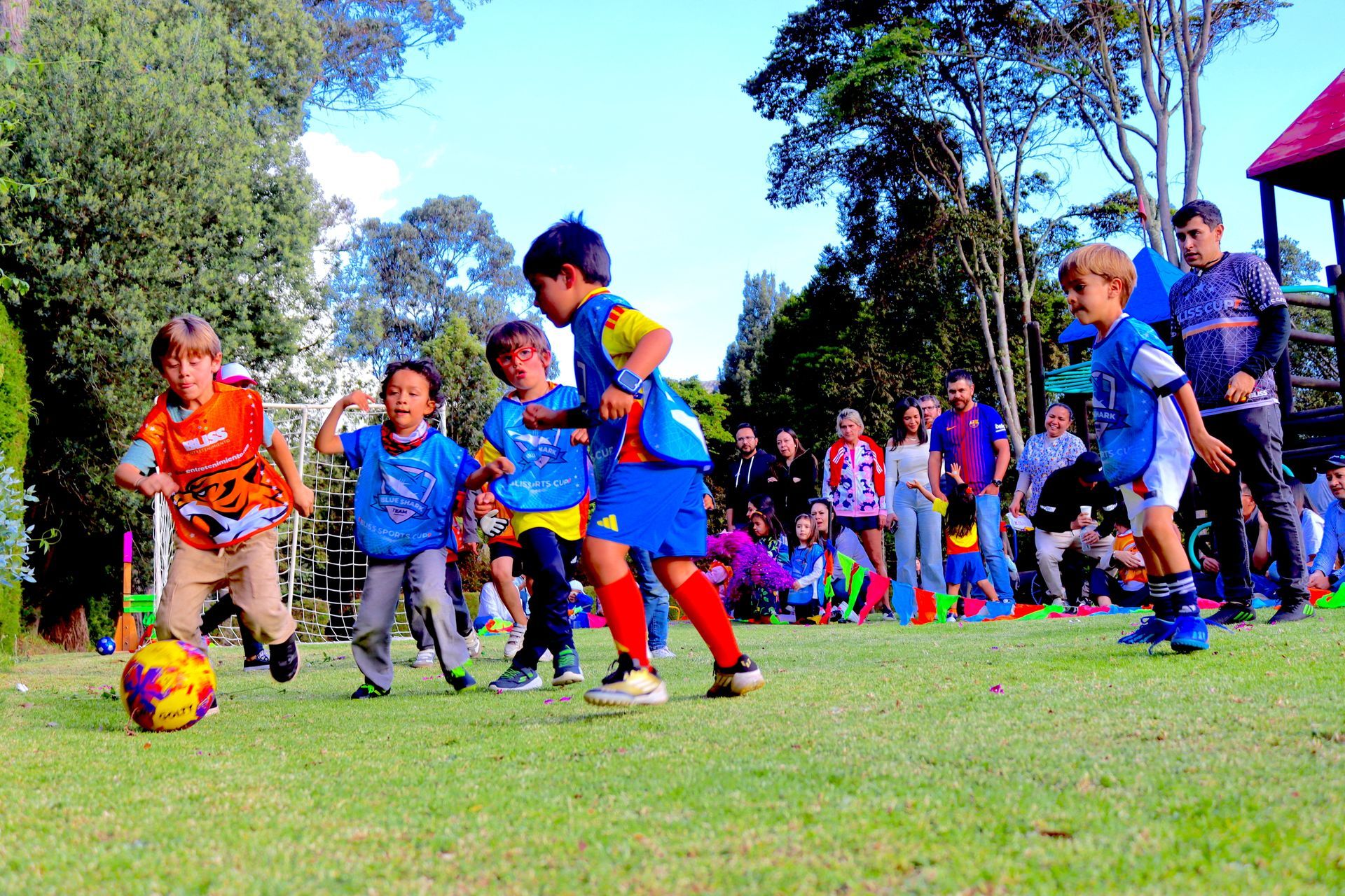 Un grupo de niños pequeños está jugando al fútbol en un campo.