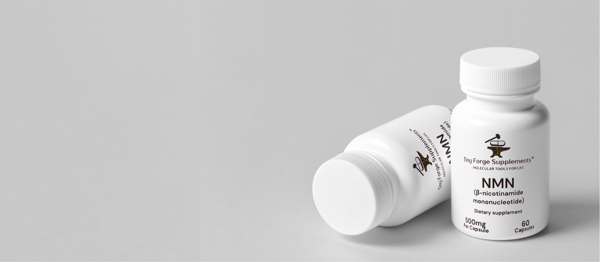 About Us | Tiny Forge Supplements