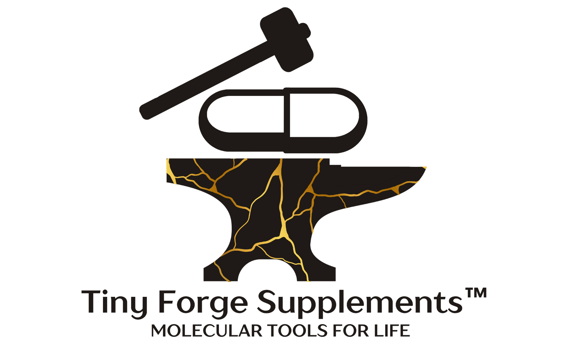 A logo for tiny forge supplements , a company that sells molecular tools for life.