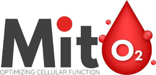 ergoflex Mito2  logo
