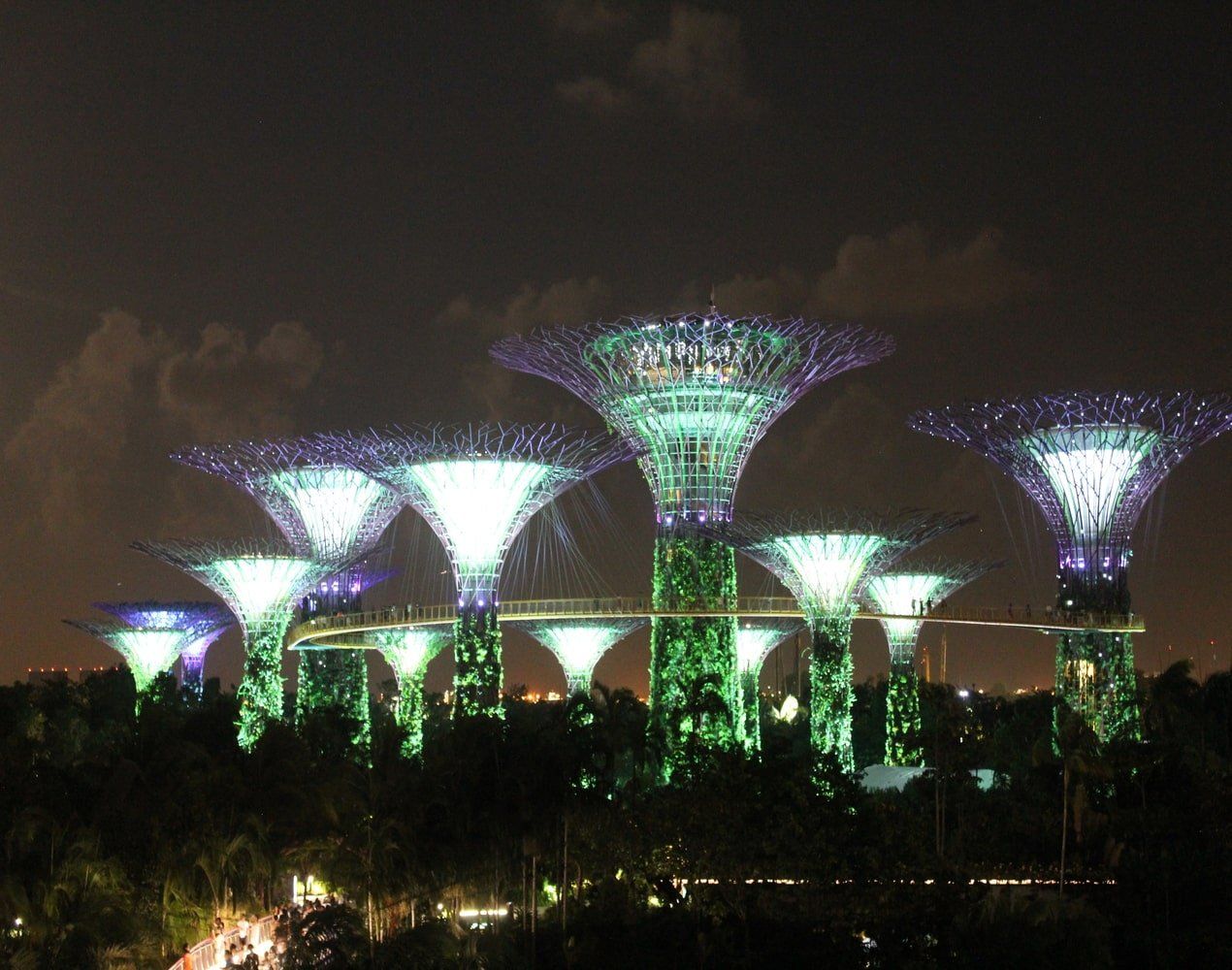 Supertree in Gardens by the Bay