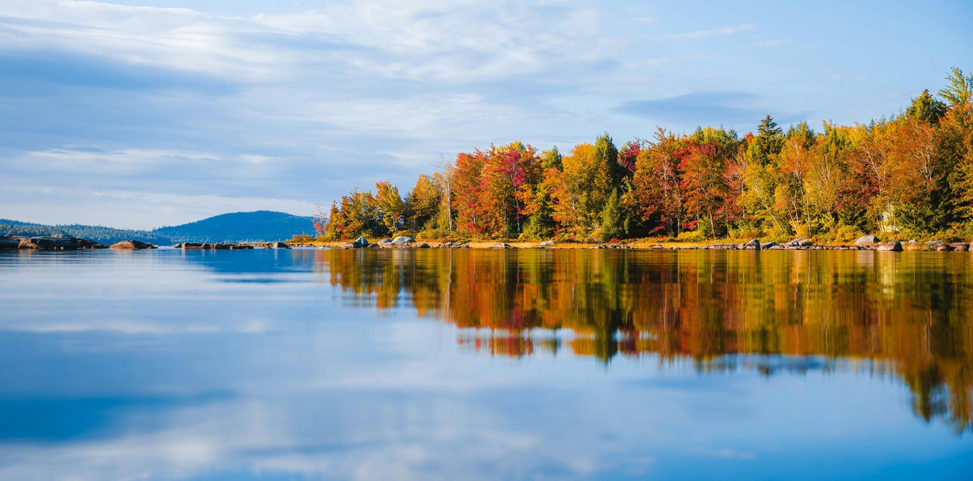 A bathroom with a tub and a plant in it.