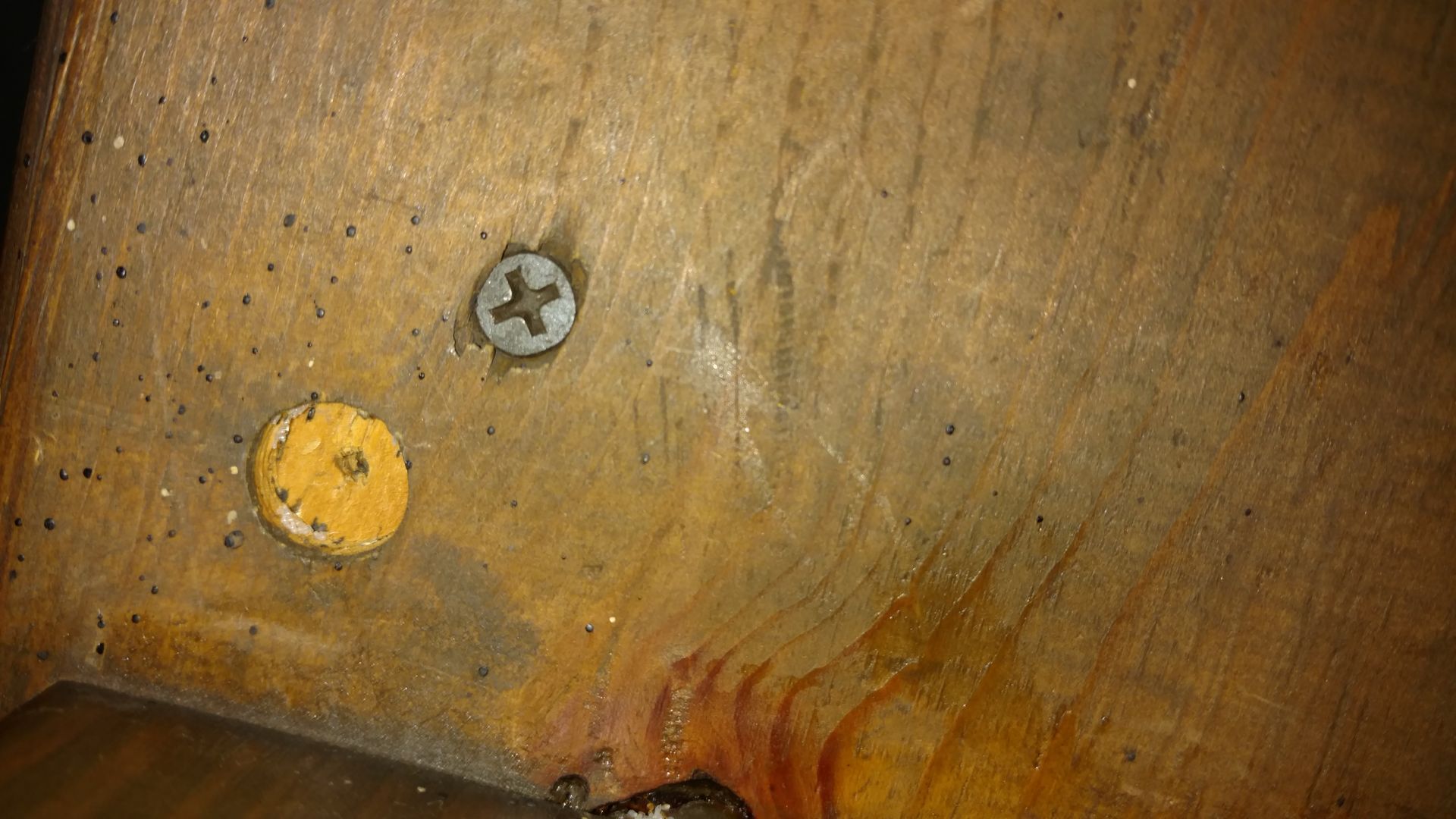 Bed Bug Poop on back board of wood furniture