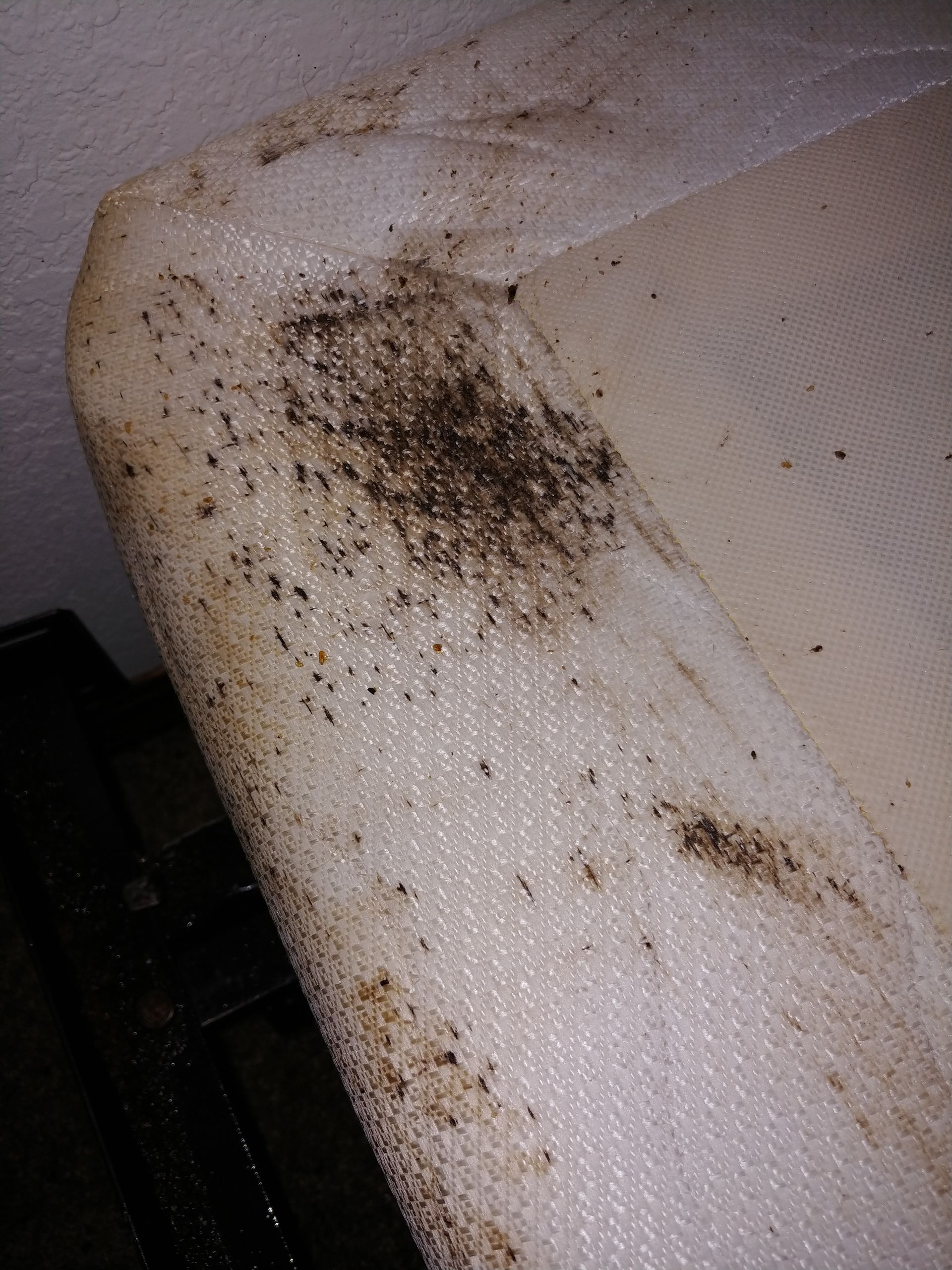 Large dark stains of Bed Bug Waste on  a white mattress