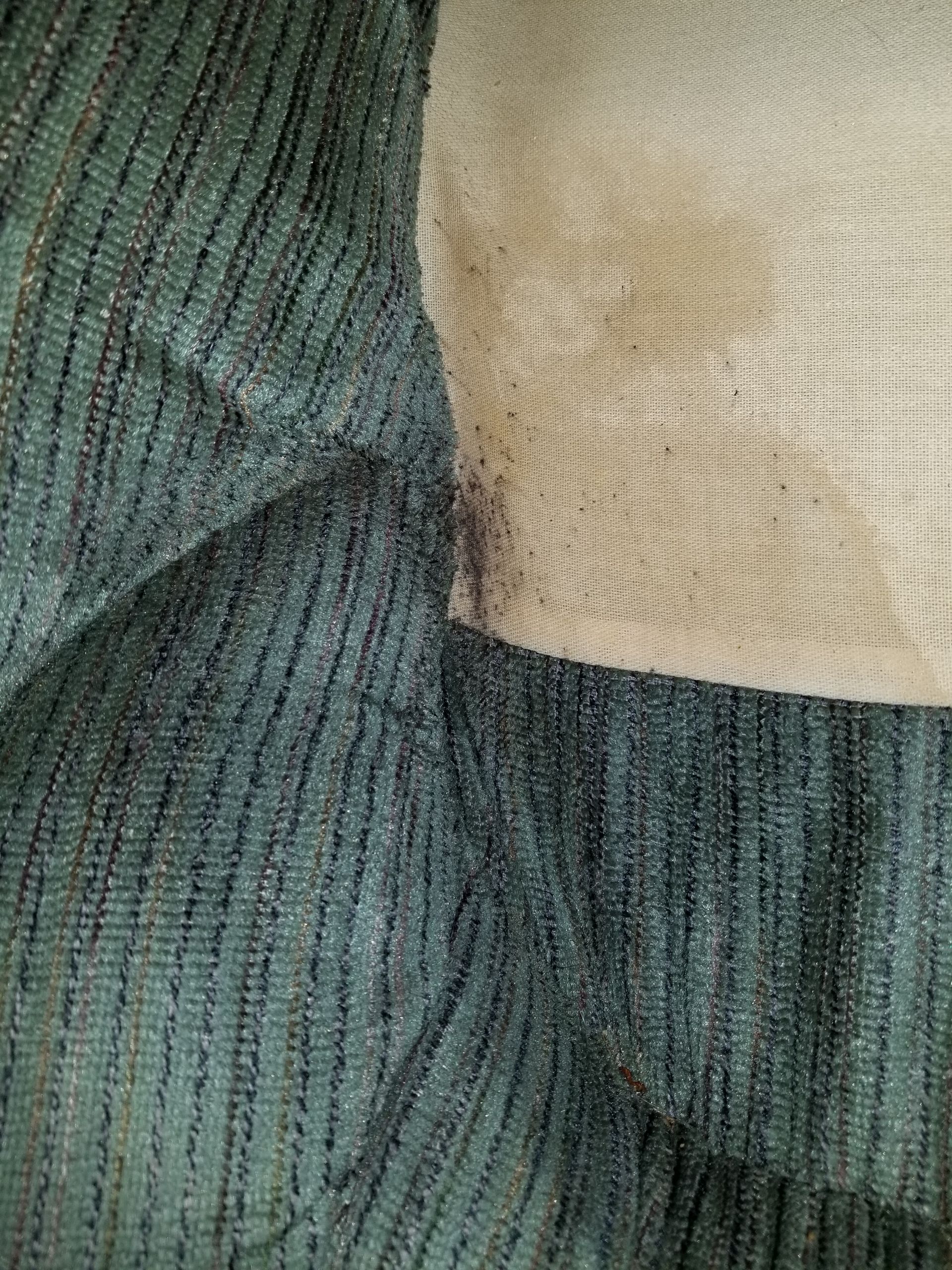 Bed Bug evidence and feces on couch cushions