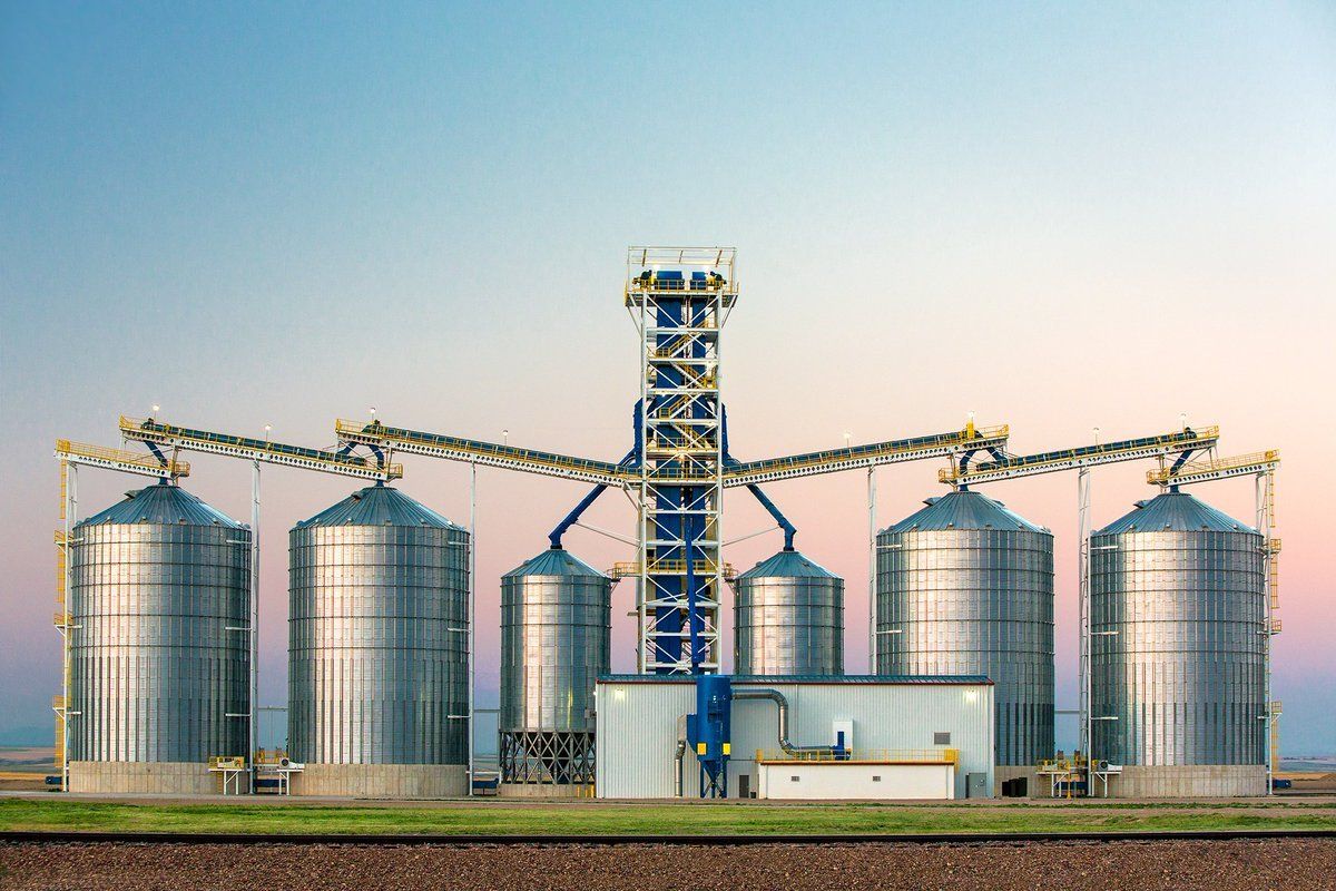 Large grain elevators that can attract pests