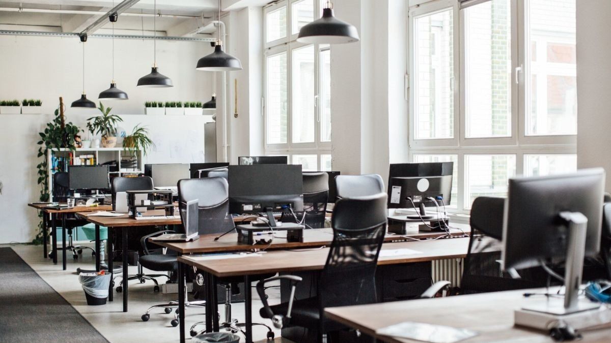 Clean company office that has no pests
