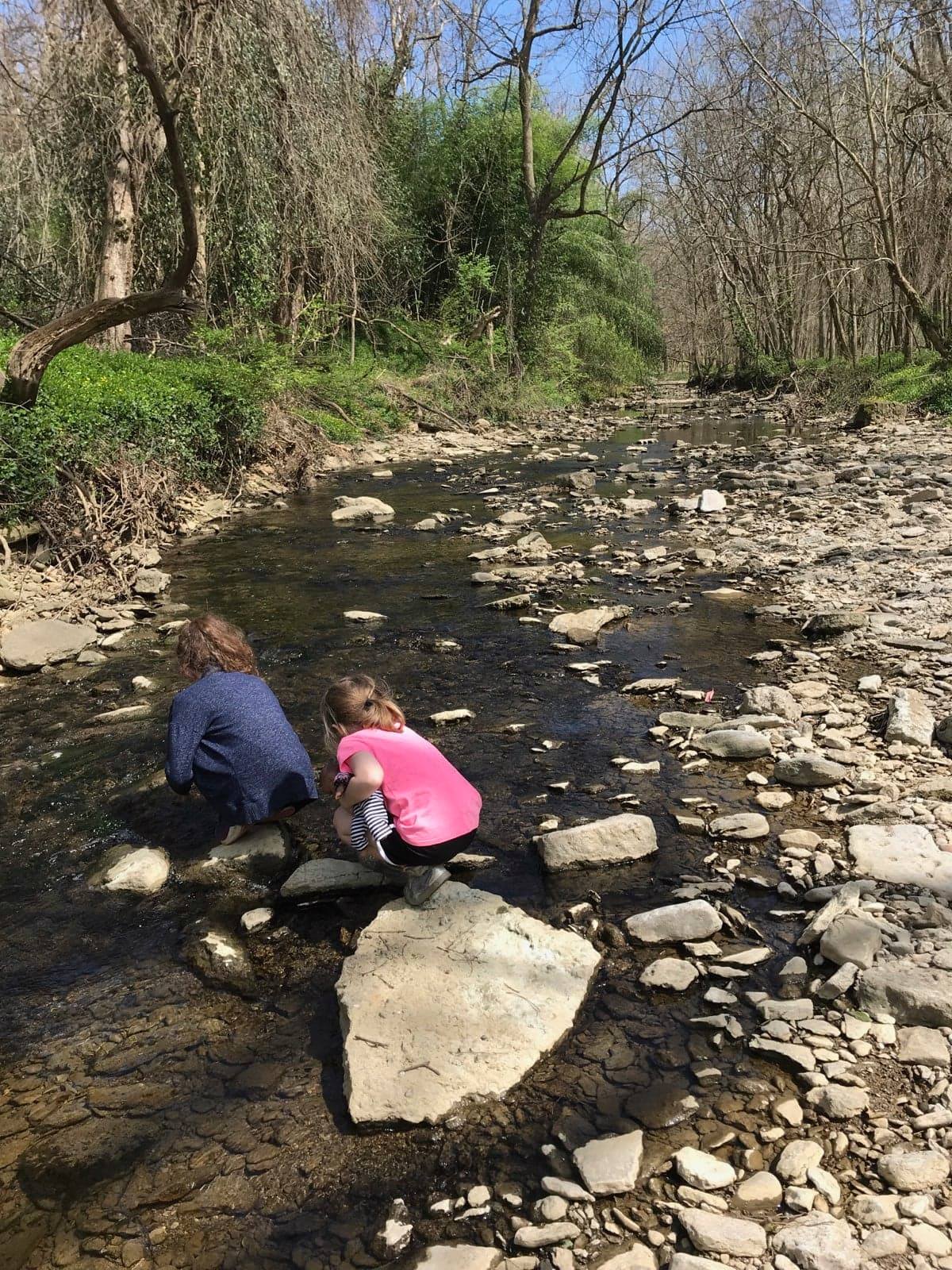 neris community serivce