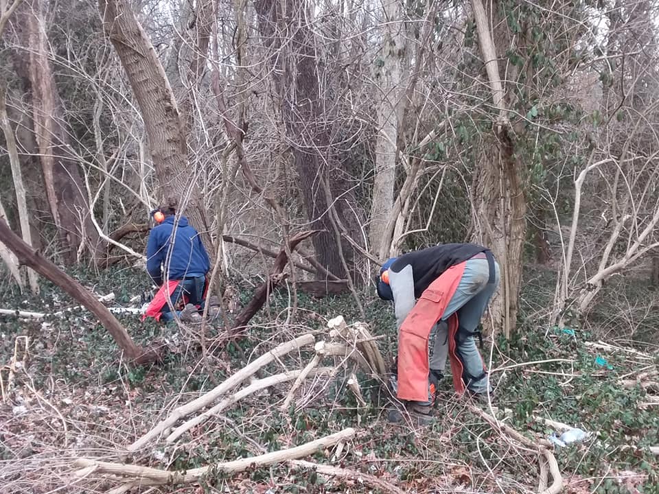 neris community trail work help