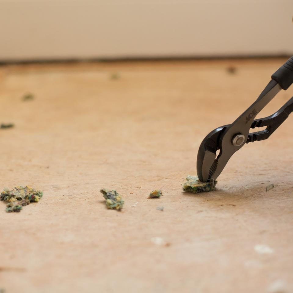 Cork Interiors Brisbane Cork, Timber and Laminate Flooring