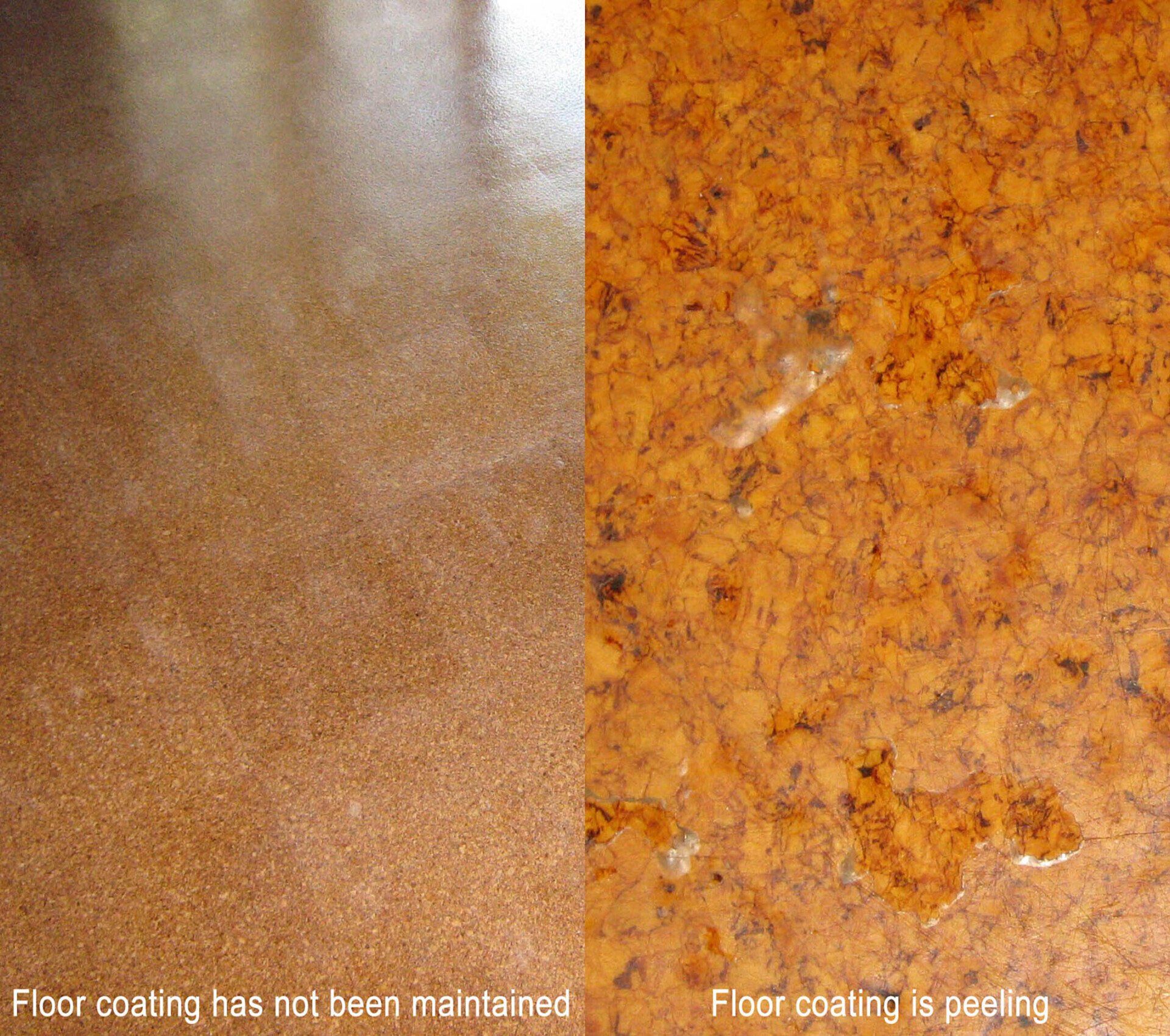 Cork Floor Not Being Maintained & Peeling