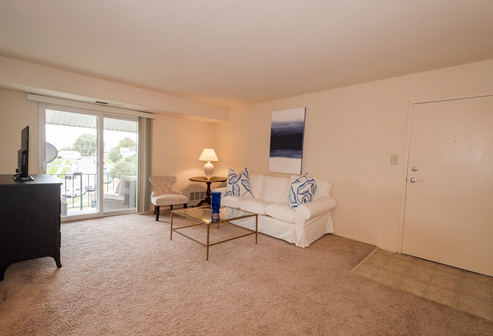 The front entry way and living room